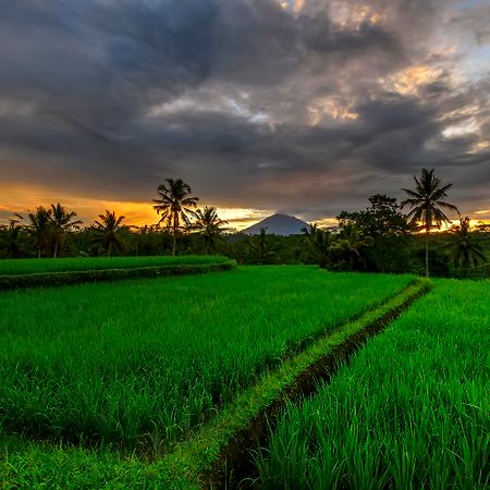 Kawi Resort Tegallalang  Luaran gambar