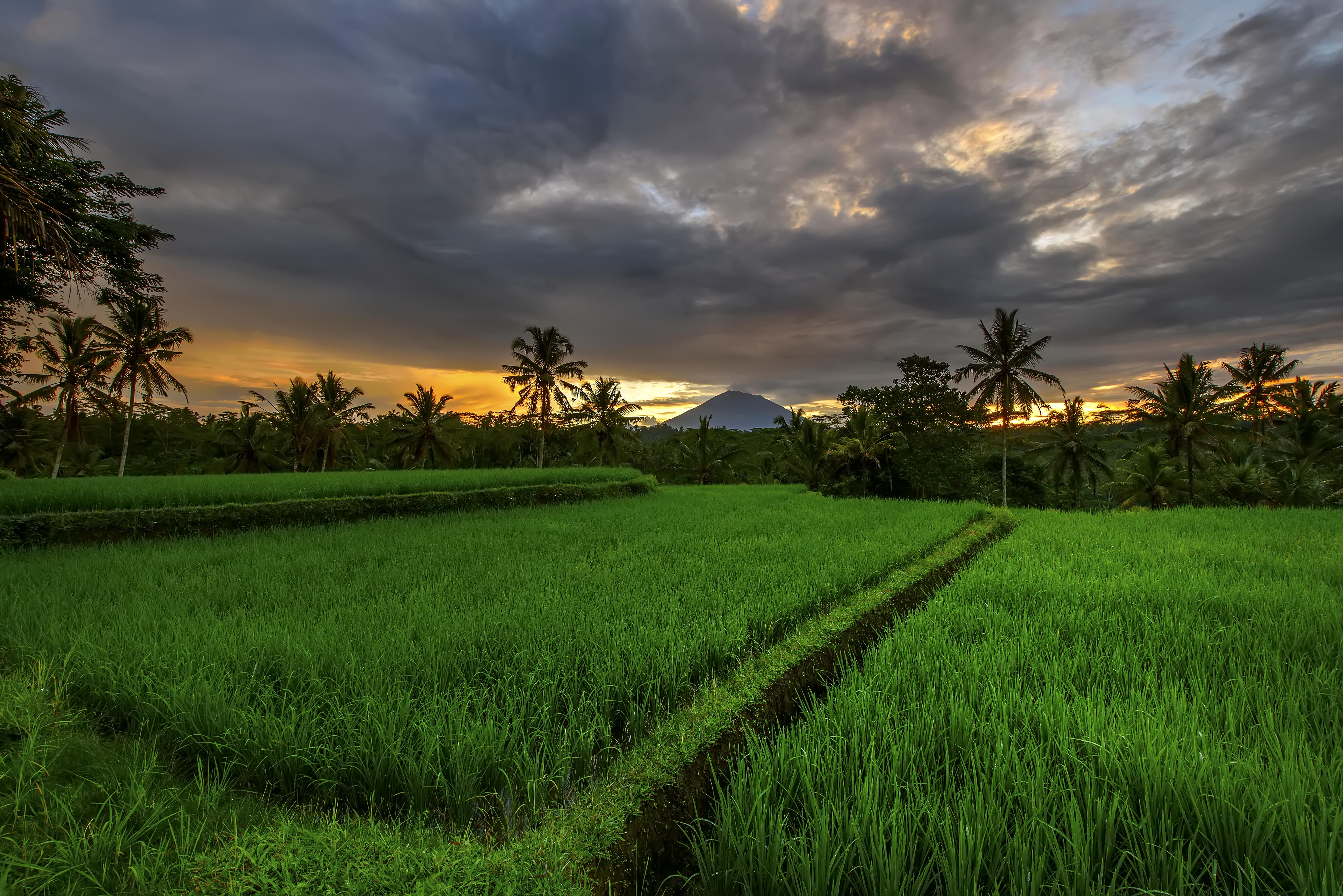 Kawi Resort Tegallalang  Luaran gambar